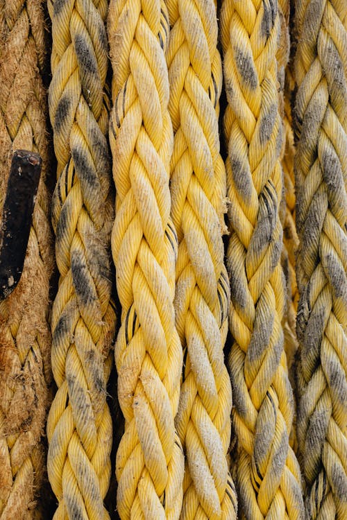 Free Thick Braided Ropes Stock Photo
