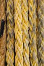 Brown Rope on Brown Wooden Surface