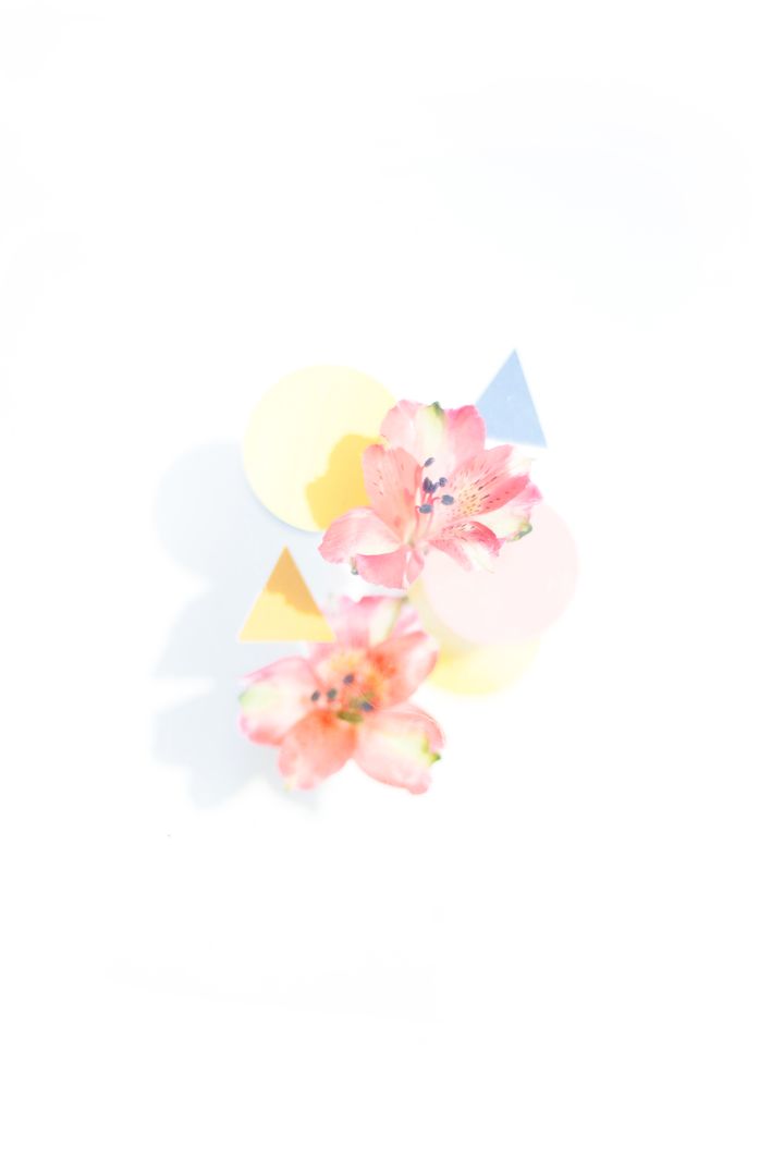 Cut paper shapes behind pale pink blossoms, photo by Evie Shaffer on Pexels
