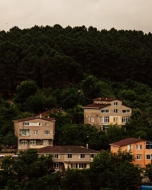 Free Scenic view of houses nestled among lush greenery in a hilly suburb of Istanbul, Türkiye. Stock Photo