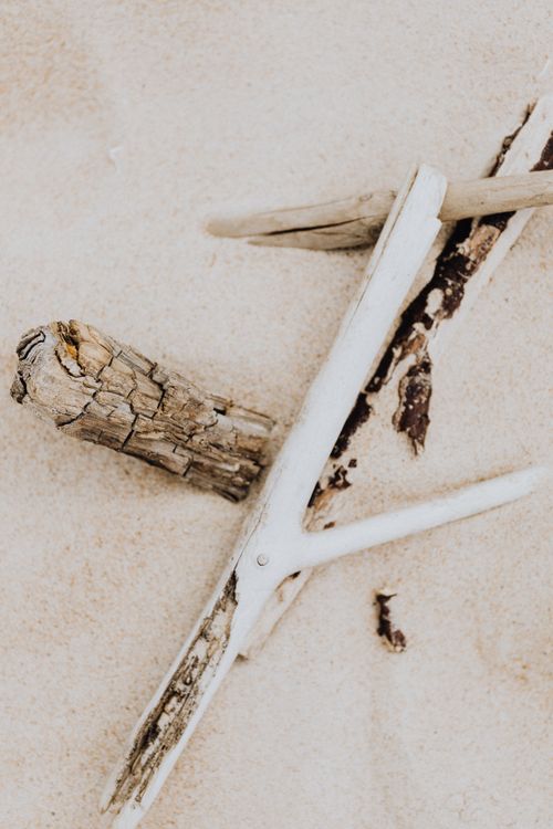 Free A close-up of driftwood on a sandy beach, showcasing natural textures. Stock Photo