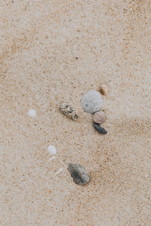 Free Gray and Black Stones on Brown Sand Stock Photo