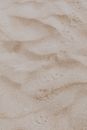 Bird's Footprints on Fine Sand