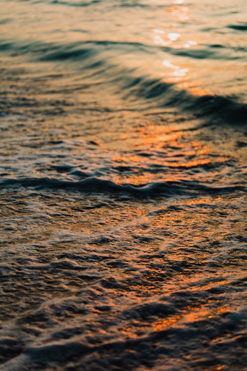 Free Body of Water during Sunset Stock Photo