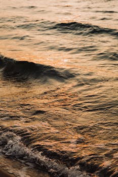 Golden sunset light reflects on gentle waves at a tranquil seashore.