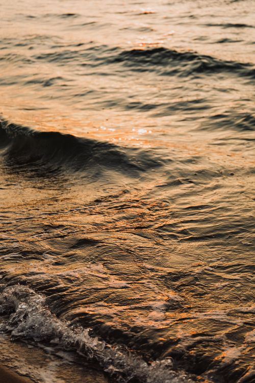Free Golden sunset light reflects on gentle waves at a tranquil seashore. Stock Photo