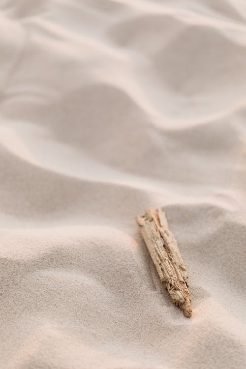 A Piece of Brown Wood on White Sand