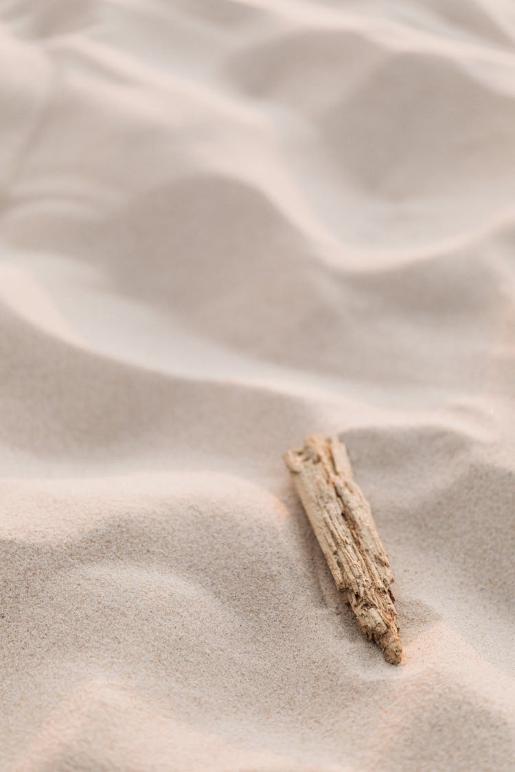 A Piece Of Brown Wood On White Sand