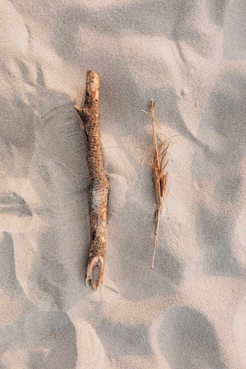 Brown Wood Stick on White Sand