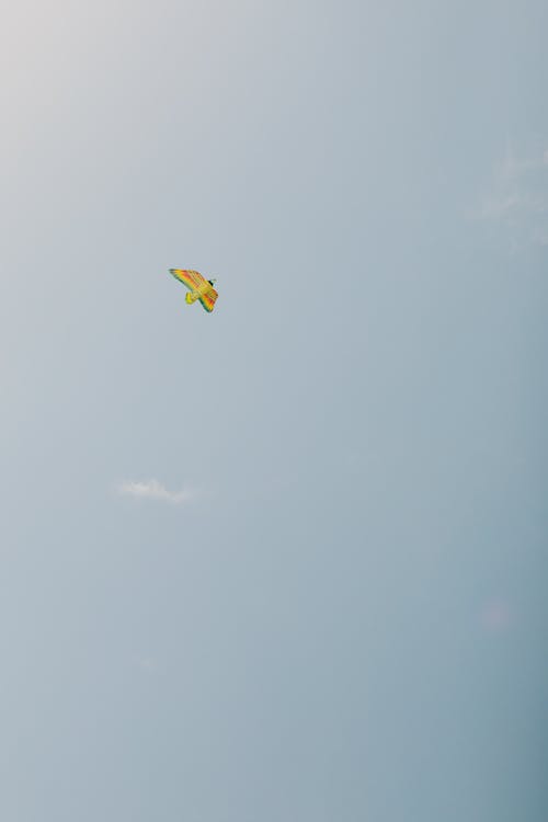 Kostenloses Stock Foto zu fliegen, himmel, vertikaler schuss