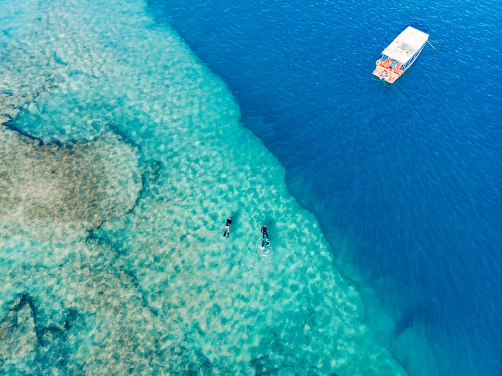 grátis Foto Da Vista Superior De Uma Pessoa Nadando No Mar Foto profissional