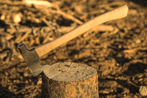 Shallow Focus Photo of Axe on Tree Stump