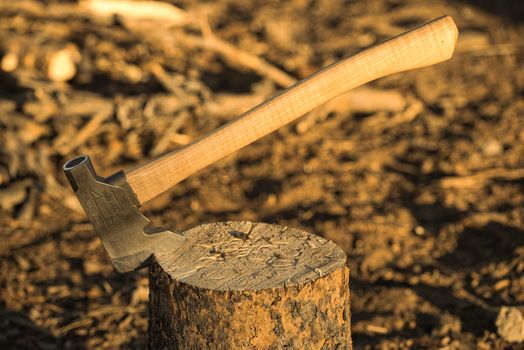 Shallow Focus Photo of Axe on Tree Stump