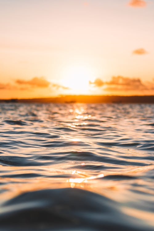 Body of Water during Sunset