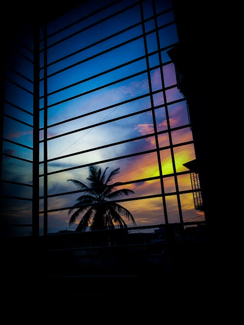 Free stock photo of bright colors, clouds, coconut tree