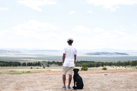A man with a dog standing and looking out over an expansive scenic landscape.