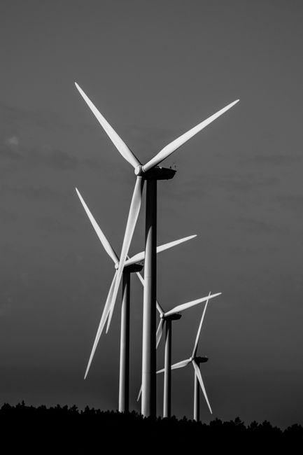 Monochrome shot of wind turbines generating renewable energy on a clear day.