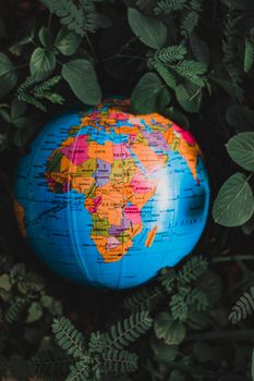A vibrant globe nestled among green leaves, showcasing Africa. 4715451