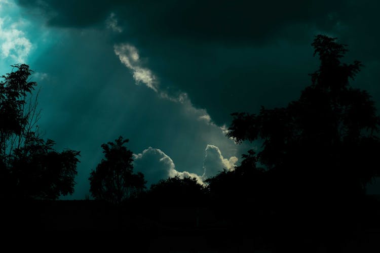 Majestic Dark Sky Over Trees Silhouettes