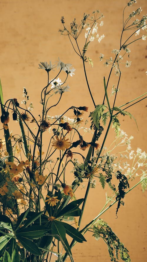 Bunch of fresh gentle flowers in vase