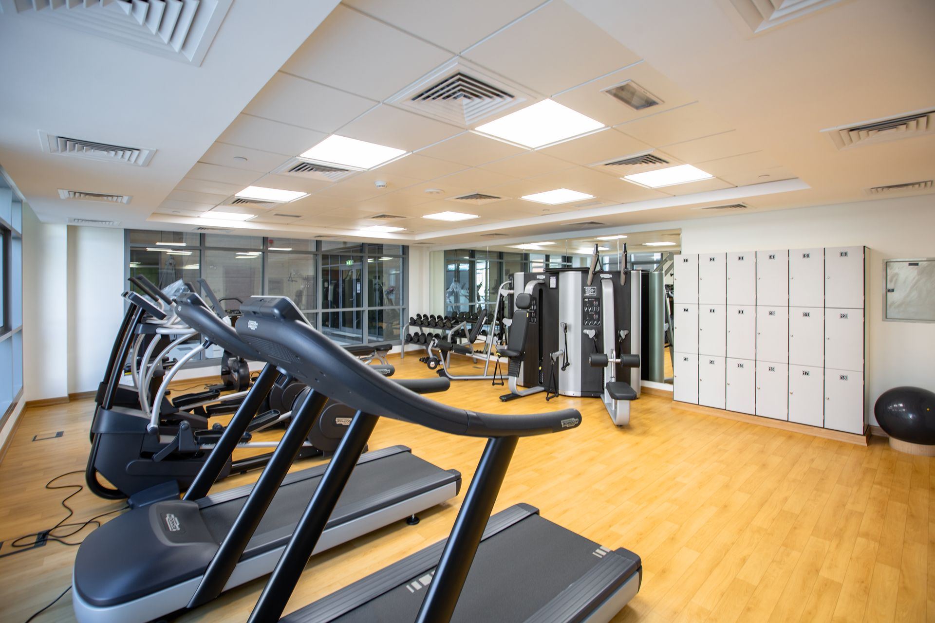 Modern gym interior