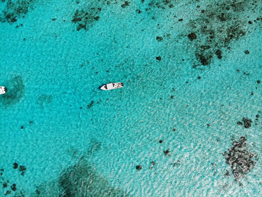 Plongée à la Grande Barrière de Corail du Belize