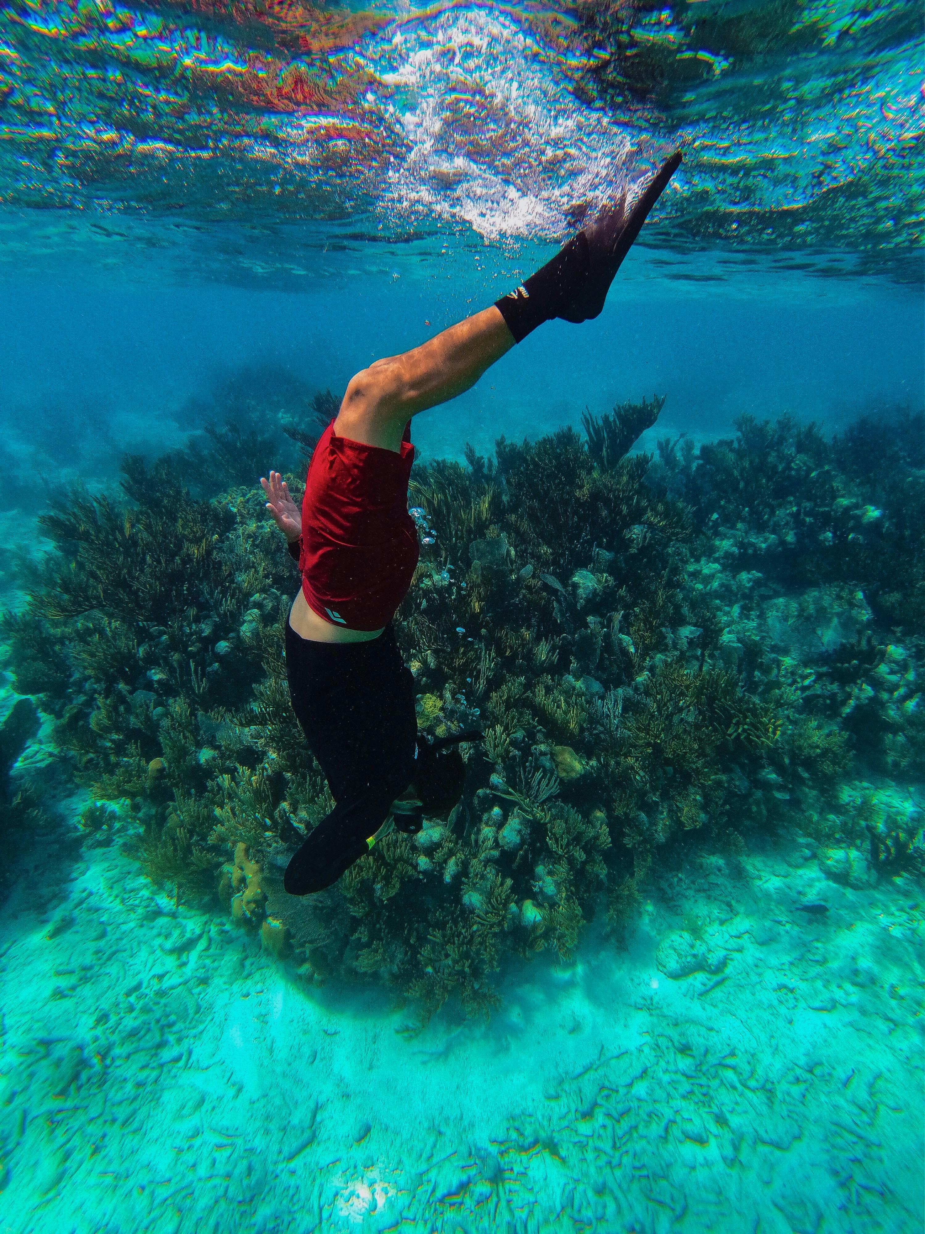Person in Black Top and Red Shorts Wearing Flippers Underwater