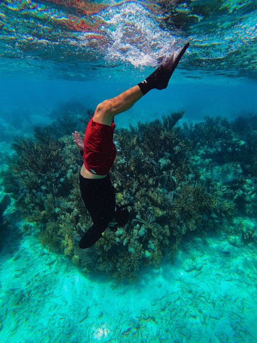 Free Person in Black Top and Red Shorts Wearing Flippers Underwater Stock Photo