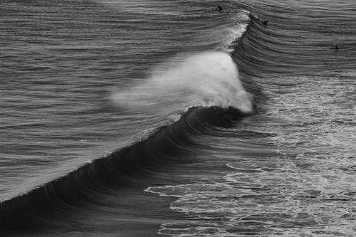 Immagine gratuita di mare, monocromatico, oceano