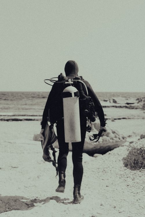 Free Back view of a scuba diver with equipment walking on a beach towards the ocean. Stock Photo