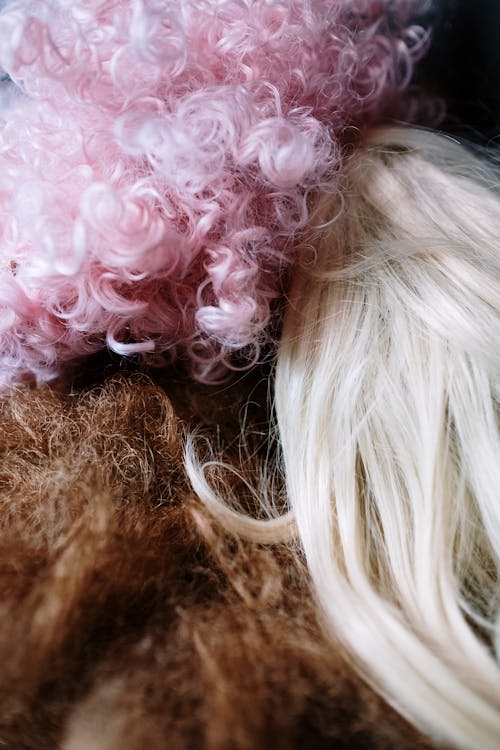 假髮, 化裝舞會, 咖啡色頭髮的女人 的 免費圖庫相片
