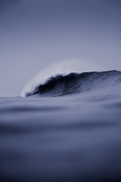 Immagine gratuita di acqua, ambiente, armonia