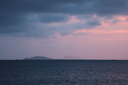 Calm Sea Under Pink Sky