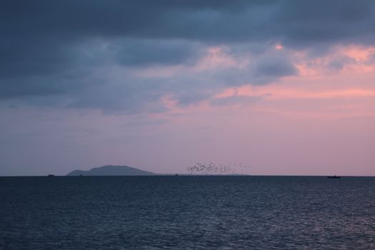 日落时分，宁静的海景中有一群鸟和远处的山岛