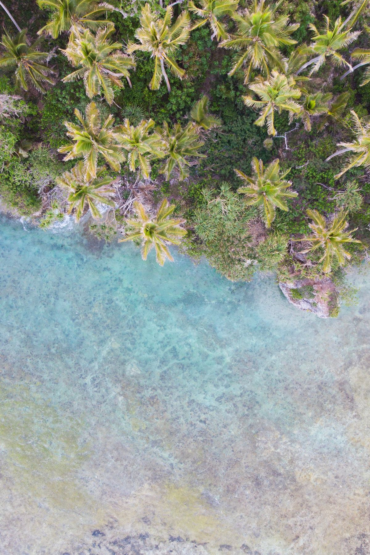 Widok z lotu ptaka na palmy i turkusowe wody wybrzeża Vanuatu