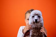 Woman in White Long Sleeve Shirt Hugging White Long Coated Dog