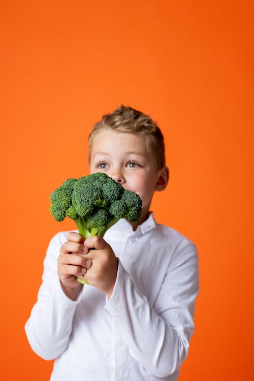 Boy in White Long Sleeve Shirt Holding Green Plant