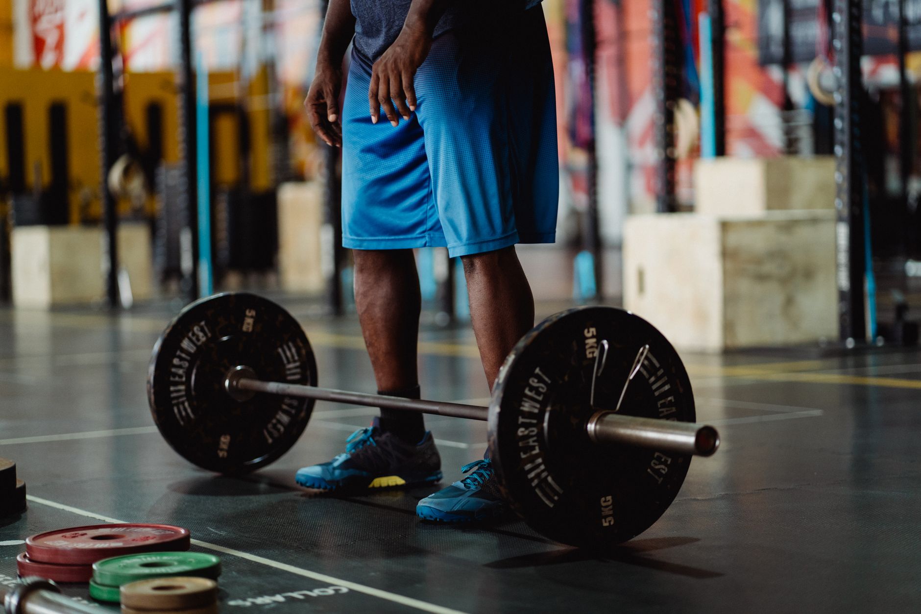 Best Olympic Barbells for Home Gym 2026