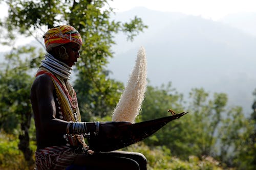 Indigenous Person Cleaning Rice Grains