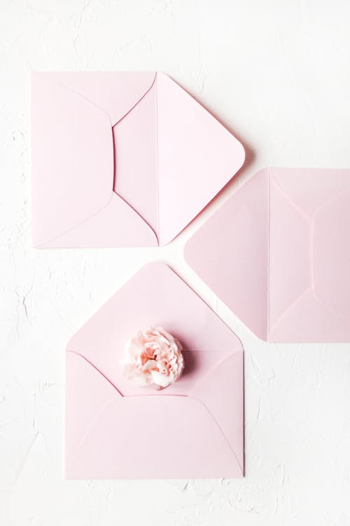 Delicate flower on pink envelope