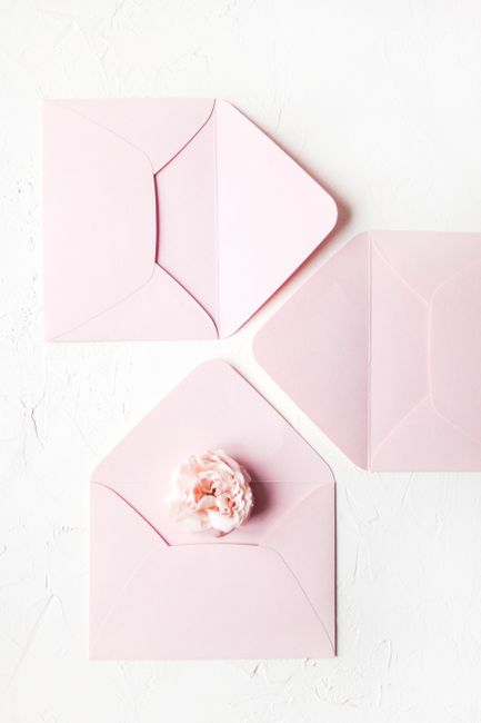 Overhead view of fragile bud on light pink mailing envelope in daylight on white background