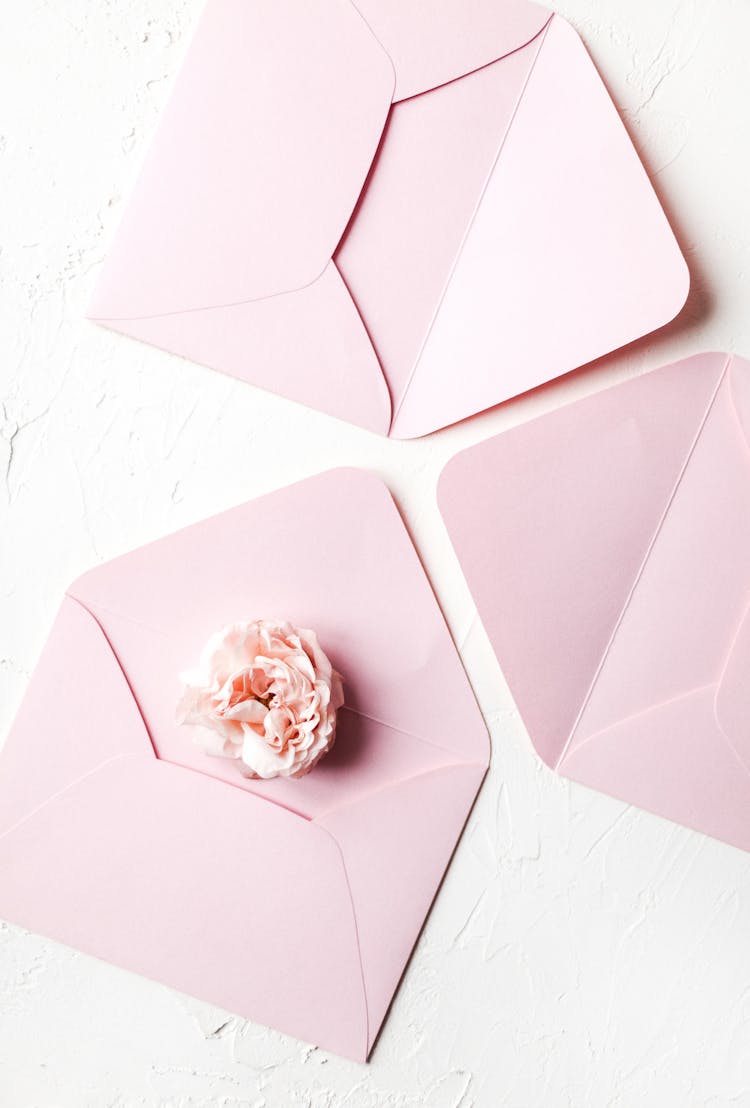 Light Pink Bud Of Flower On Envelope