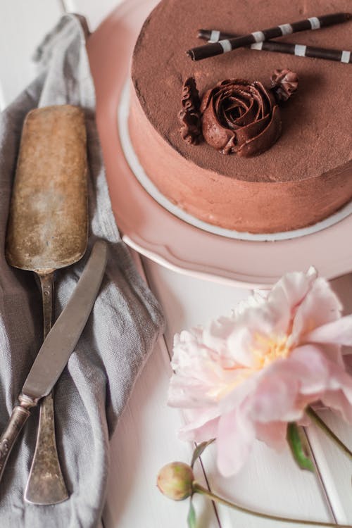 Chocolate cake and kitchen utensils near peony