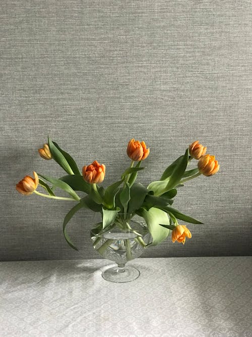 Orange and Yellow Tulips in Clear Glass Vase