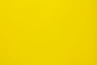 Yellow and White Color Illustration