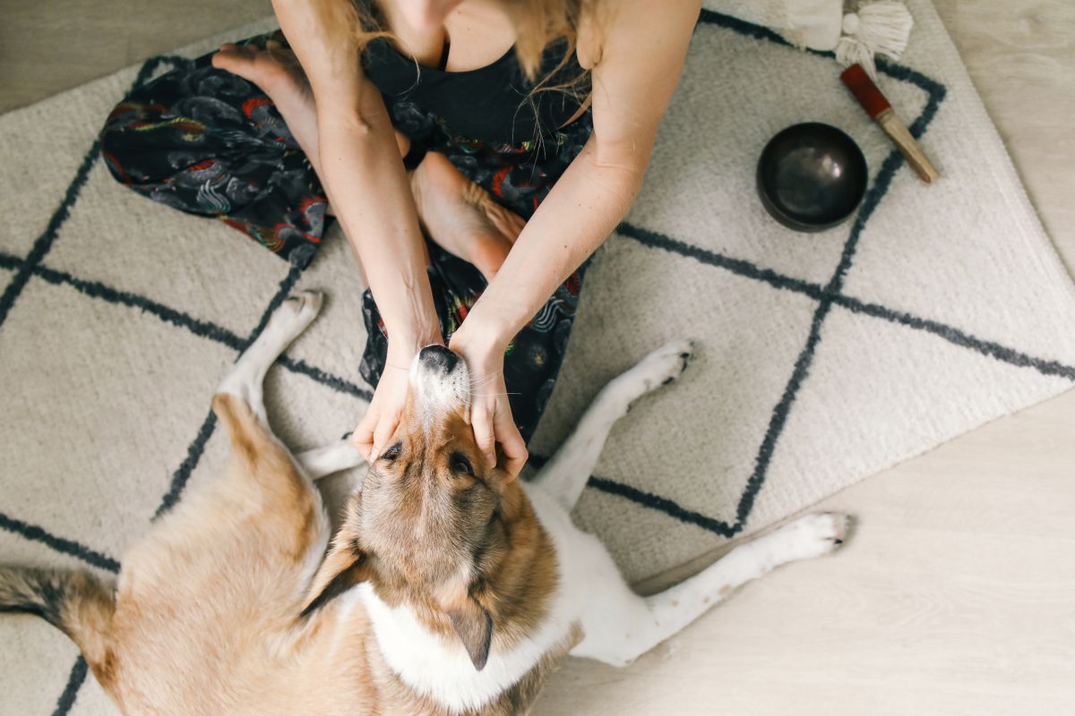 A woman gently pets a dog from above on a patterned rug during a quiet interaction.