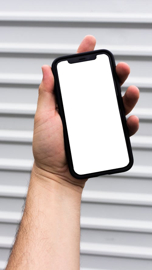 Person Holding a Smartphone 