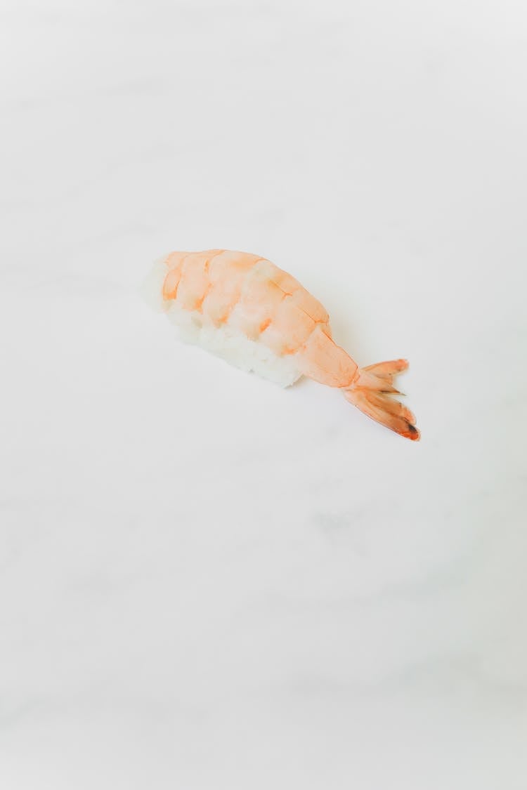 Seafood On White Background