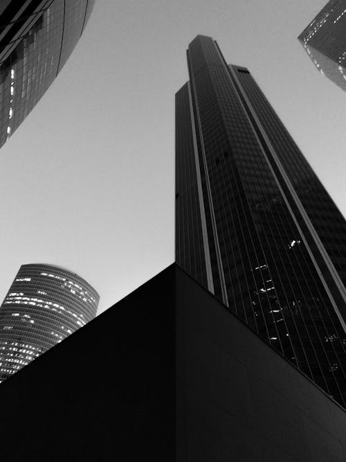 Grayscale Photo of High-Rise Buildings