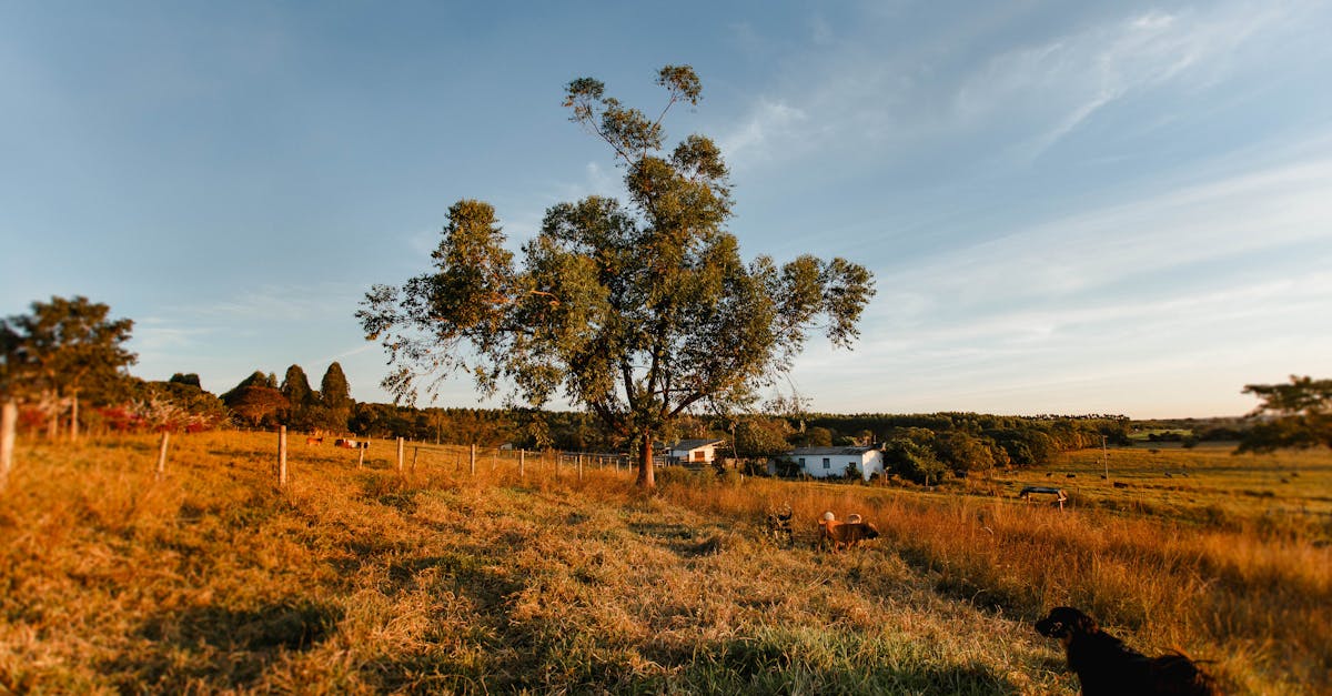 The Static Between Fields 1 image text